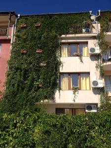 a building covered in green ivy at Guest House Maria in Nesebar