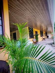 Gallery image of Apartamentos Amarillos in La Cruz