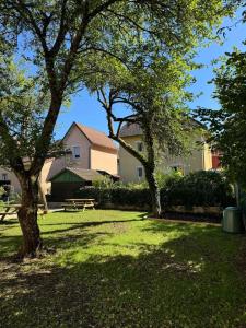 a park with a picnic table and a tree at Logement Neuf Cosy avec Espaces Communs Premium 03 in Belfort