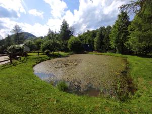 Gambar di galeri bagi Domki nad rzeką Solinką Terka di Terka