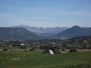Naturlandskabet i nærheden af landstedet