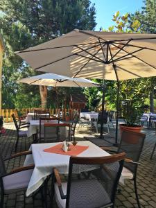 Restaurace v ubytování Hotel Magnólia