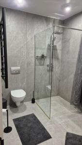 a bathroom with a glass shower with a toilet at Rest House in Bubnyshche +12 photos
