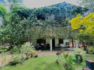 Zahrada ubytování Aloe Vera Guest House
