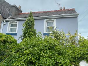a blue house with a tree in front of it at Little Acre in Torquay