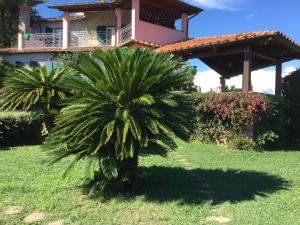 Zahrada ubytování B&B Le Palme