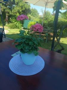 Garður fyrir utan Pension Archa Mikulov