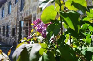 une fenêtre avec des fleurs violettes devant un bâtiment dans l'établissement Hostal Refugio De Gredos, à Navarredonda de Gredos