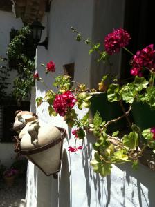 un groupe de fleurs sur le côté d'un mur dans l'établissement La Casa de Corruco, à Casabermeja
