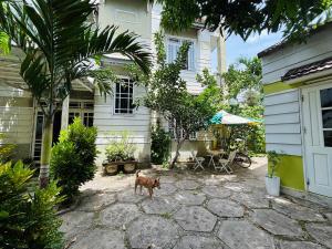 einem Hund, der vor einem Haus steht in der Unterkunft De Vong Riverside Homestay in Hoi An