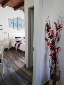 Φωτογραφία από το άλμπουμ του Mir Mar στη Λαμπεντούζα