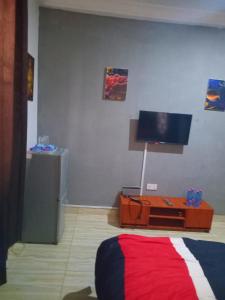 TV a/nebo společenská místnost v ubytování Master Concepts