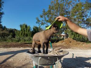 Nápoje v ubytování Agriturismo Le Tagliate