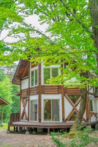 a log cabin with large windows and a tree at Haus Yuki in Hakuba