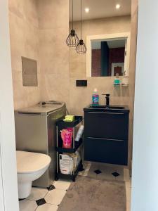 a bathroom with a sink and a toilet at Stylish apartment by the castle in Malbork