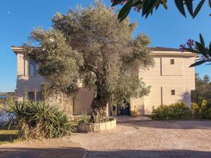 a large tree in front of a building at Urla Villa in Urla
