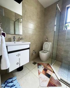 a bathroom with a toilet and a sink and a shower at Pretty haven-studio apartment -Kilimani in Nairobi