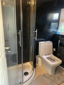 a bathroom with a toilet and a glass shower at Comfortable Stay With Garden View Near Long Riding in Basildon
