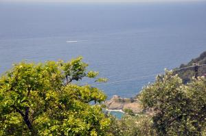 Photo de la galerie de l'établissement La Rimessa, à Bonassola