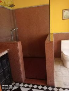 a bathroom with a shower and a toilet at Hotel Tharventure in Jaisalmer