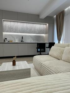 蒂米什瓦拉Milo Residence的客厅里有一张沙发和一个厨房