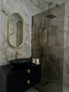 蒂米什瓦拉Milo Residence的一间带黑色水槽和淋浴的浴室 更多8张照片