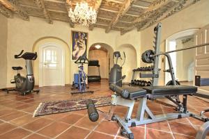 Fitnesscenter och/eller fitnessfaciliteter på Alchymist Prague Castle Suites