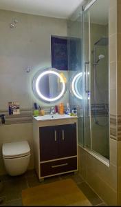 un bagno con lavandino, doccia e WC di Villa Voss a Kravlja