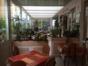 Kép Hotel Tre Grazie szállásáról Riminiben a galériában