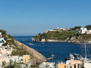 a view of a village with boats in the water at Maridea - Villa Zagara in Ponza