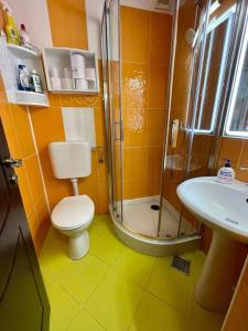 a bathroom with a shower and a toilet and a sink at Apartament Neptun Olimp in Olimp
