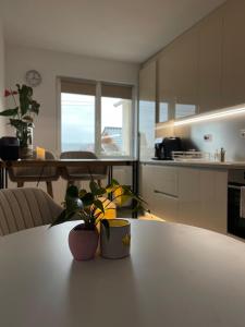 Gallery image of DreamApartment in Deva