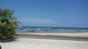a beach with boats in the water and a palm tree at Hotel Corallo in Torre Santa Sabina