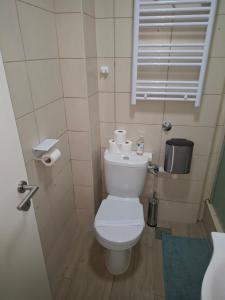 Koupelna v ubytování Studio SVACIC self check in