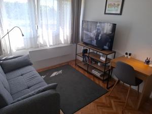 TV a/nebo společenská místnost v ubytování Studio SVACIC self check in