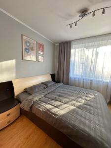 Un dormitorio con una cama grande y una ventana. en ParcView Apartament, en Chişinău