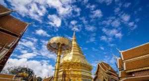 Fotografie z fotogalerie ubytování Nimman Forest Hostel v destinaci Chiang Mai