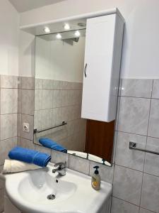 Koupelna v ubytování Apartments Frakić