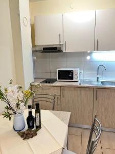 Kuchyň nebo kuchyňský kout v ubytování Apartments Frakić