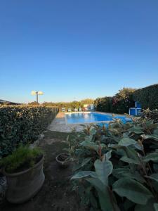 Πισίνα στο ή κοντά στο Namasté Suite - Porto Pino