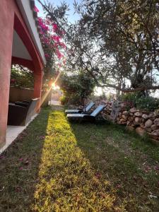 Κήπος έξω από το Namasté Suite - Porto Pino +11 φωτογραφίες