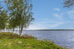a body of water with trees on the shore at Savupirtti 1819 in Pudasjärvi +16 photos