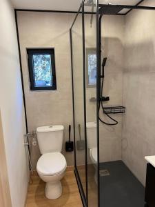 a bathroom with a toilet and a glass shower at Maison avec jaccuzzi Aix-en-Provence in Aix-en-Provence +22 photos
