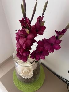 Gallery image of Apartment S2 Sousse Folla in Hammam Sousse