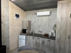 a small kitchen with a sink and a refrigerator at Prozori Boiky in Lopushanka-Khomyna