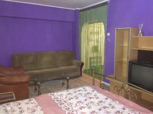 ein Wohnzimmer mit einem Sofa und einem TV in der Unterkunft Ultracentral apartament Bacau in Bacău