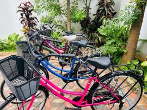 在Jaffna City Palace Hotel内部或周边骑自行车