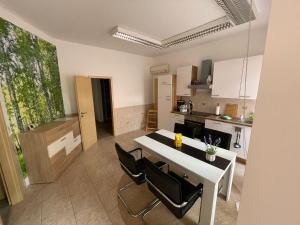 a kitchen with a white table and black chairs at Birkenwald in Eilenburg