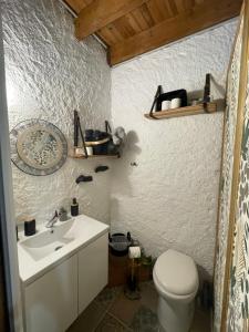 łazienka z białą toaletą i umywalką w obiekcie Chambre d hôte en Drôme des collines pour 2 à 4 personnes w mieście Saint-Laurent-dʼOnay +24 zdjęcia