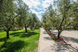 トッレ・サン・ジョヴァンニ・ウジェントにあるTenuta Solentinoの公園内の木々が並ぶ通路